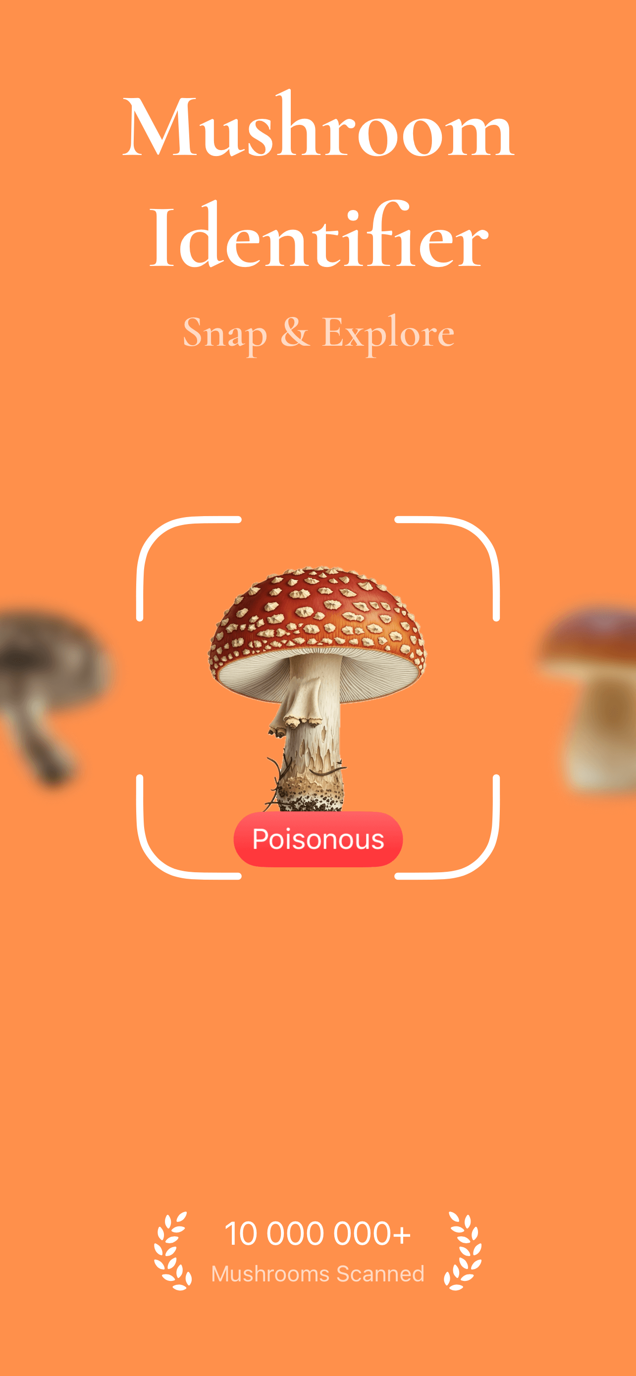 Mushroom Identifier main interface with recent mushroom identifications