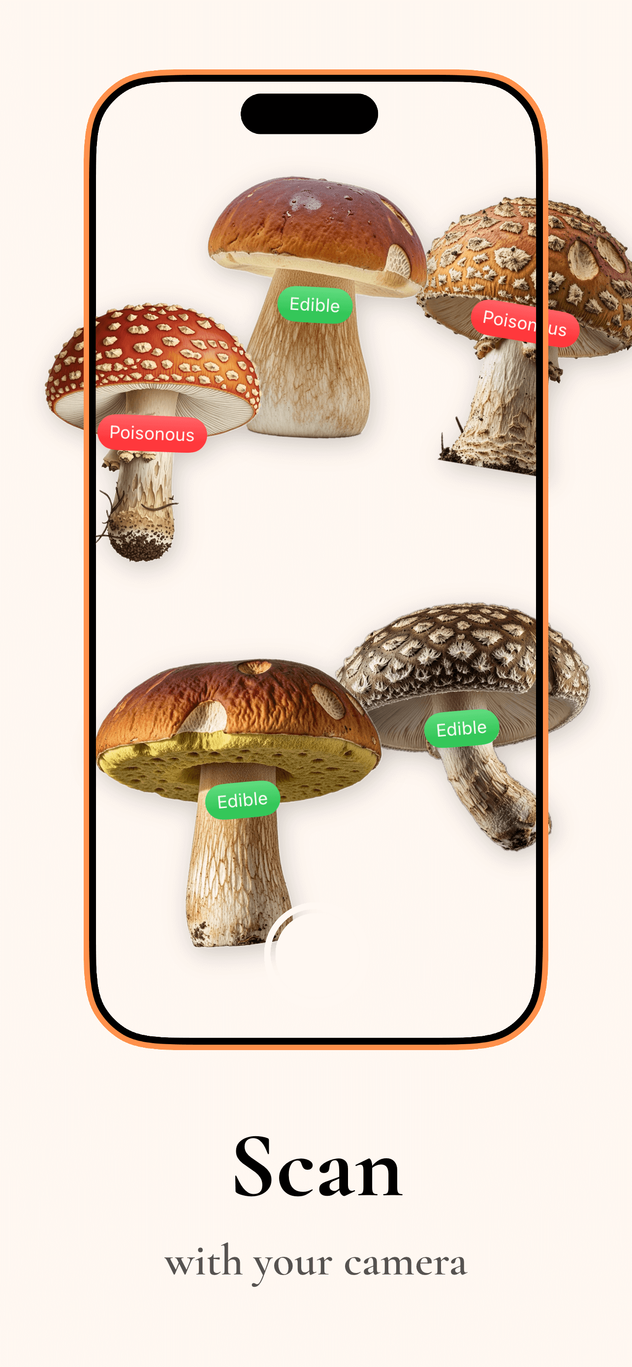 Camera view for capturing mushroom photos for identification