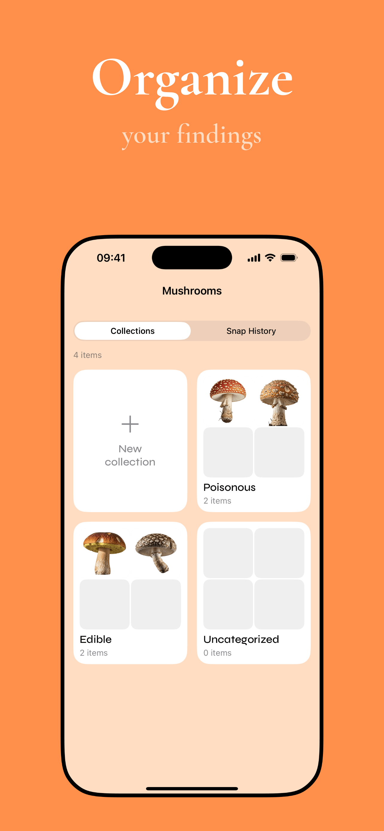 Personal mushroom collection gallery with organized specimens