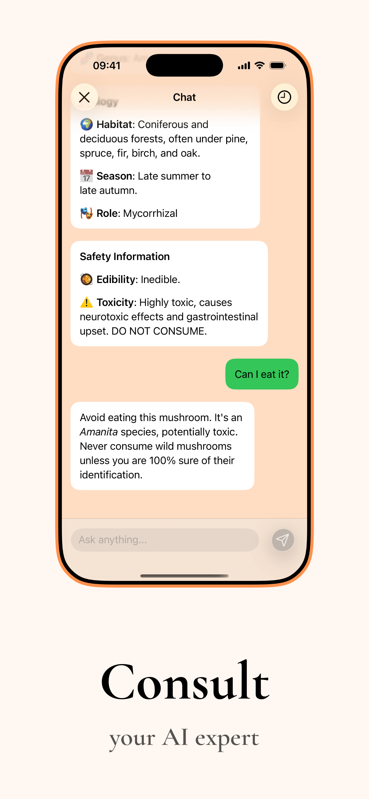 Advanced search and filtering options for mushroom database